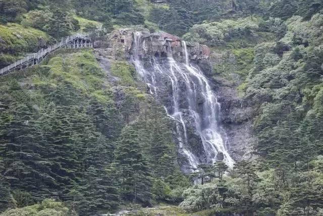 绿茵之巅